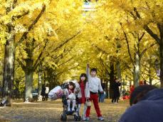 県庁のイチョウ並木で記念撮影