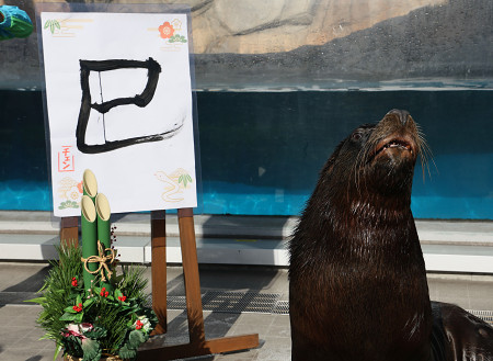 オタリアのチェン君、書き初めを披露