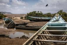 ジブチ沖で移民船が沈没…109人死亡・116人行方不明