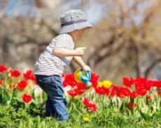 子育て世帯vs高齢者の「公園をめぐる対立」止めたい。杉並区“公園の新ルール”が話題を呼んだワケ