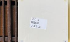 「ここに幽霊がいました」　京都の〝隙間〟に貼られてる不気味なメッセージに戦慄