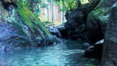 「愛知県は秘境の宝庫」　暑さ忘れるほど涼やかな〝7月の渓流〟に反響