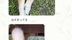 留守番中の小6娘から連続LINEが届いて...何があった？　自宅で生まれてた〝謎光景〟に4.1万人にっこり