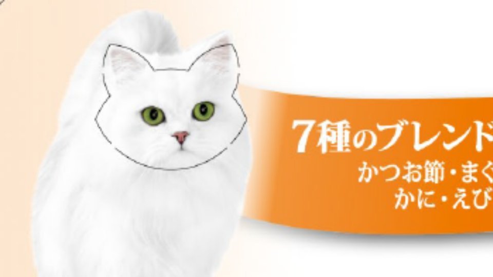 【SNS騒然】キャットフード の箱に〝謎ギミック〟　ひたすら集める愛猫家も...ネスレ日本「とても嬉しいです」