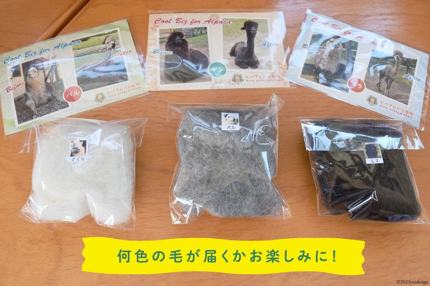 アルパカの毛、もらえます　北海道・剣淵町のふるさと納税返礼品に絶賛の声「幸福度高い」「心が温まる」