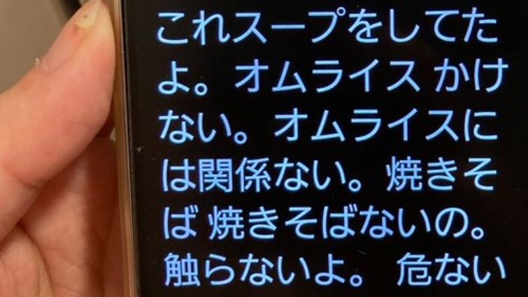 〝2歳男児 VS 母のバトル〟に3.3万人爆笑　スマホが勝手に「文字おこし」してた会話がコチラです