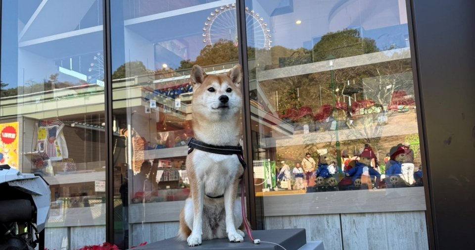 「全都道府県に配置してほしい」　最高すぎる〝犬用フォトスポット〟に4.4万人羨望...本犬もドヤ顔です