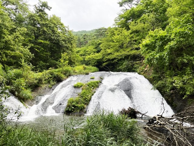 【ふるさと納税】お肉からスポーツ飲料まで　岩手県花巻市の返礼品ランキングトップ3【2024年11月版】