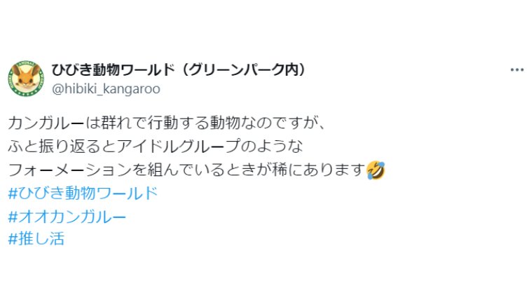 振り返ると〝アイドルグループ〟がいた？　動物園で撮影された1枚に31万人驚がく