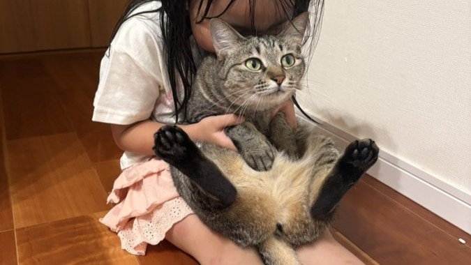 この関係がずっと続いてほしい」 6歳少女の〝全力猫吸い〟と吸われ猫の