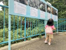 生まれた「コハル」、亡くなった「ブラッド」…　横浜の3動物園、命に感謝企画展