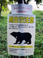 神奈川の丹沢でもクマ目撃情報が増加　専門家「冬眠前に餌探す11月は要注意」
