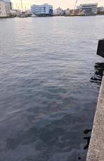 横浜の海上で「油が浮いている」　巡視艇が防除作業行い消滅
