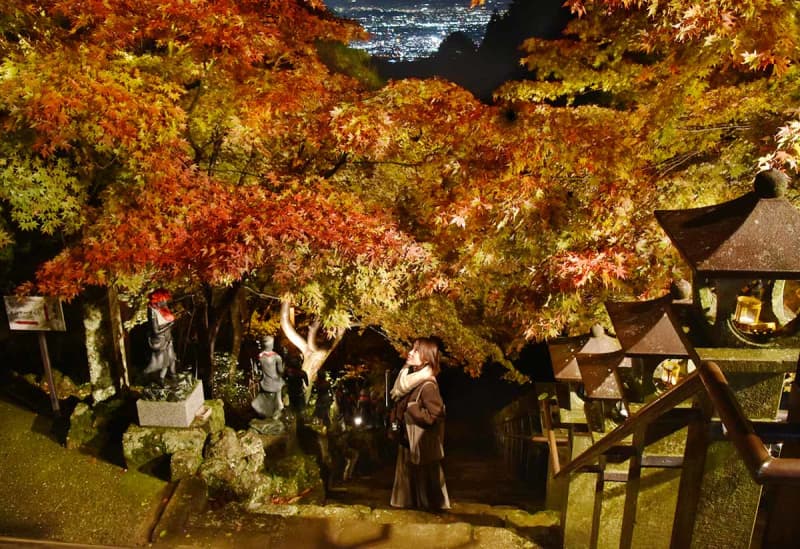 日ごとに表情変える秋の色彩　伊勢原・大山寺で紅葉ライトアップ