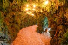 箱根強羅公園にクリスマスイルミ　全長20メートルの幻想的なトンネル