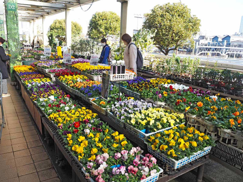 サカタのタネ直売店「ガーデンセンター横浜」72年の歴史に幕　園芸文化普及に貢献、24日閉店　