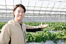 「第2のマウンド」はイチゴ畑　元中日の三ツ間卓也さん、横浜で農家に転身　1月から直売開始