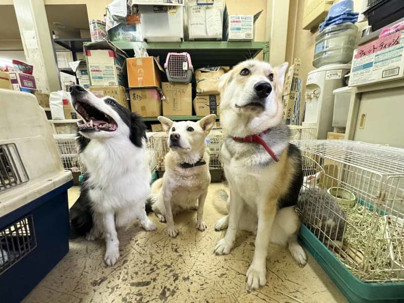 神奈川県警押収の犬猫行方不明　「杜撰な管理、ひどい」返還と損害賠償600万円求め提訴へ