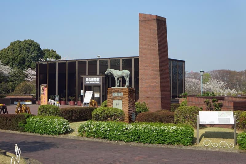 横浜・中区の「馬の博物館」が老朽化で休館　集大成のフィナーレ展　28～29年の再開館を予定