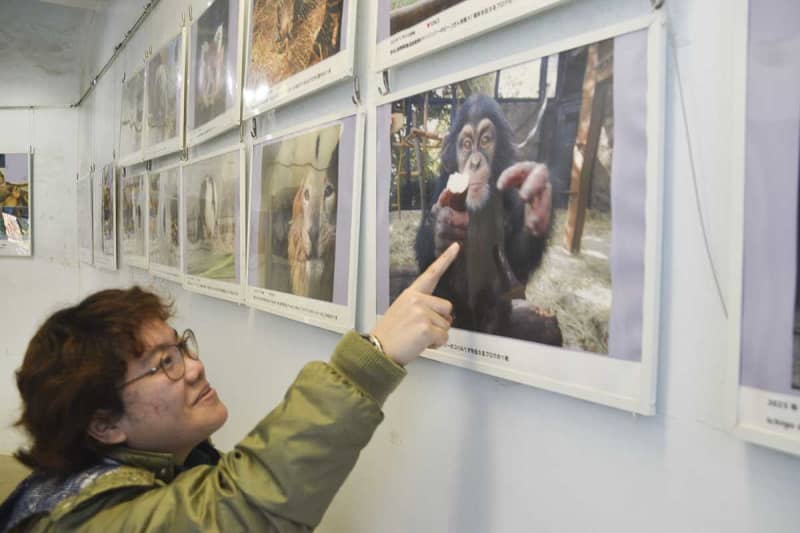 横浜・野毛山動物園、公式Xで反響が大きかった写真集め展示　動物の日常の姿を飼育員らが撮影