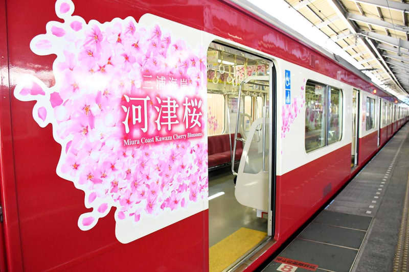 「かわいい！」京急が桜づくし　三浦の河津桜イメージ、ラッピング電車や駅装飾