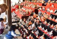 三浦・海南神社彩るひな人形300体　3月3日まで展示　今年は初めて本殿内にも展示