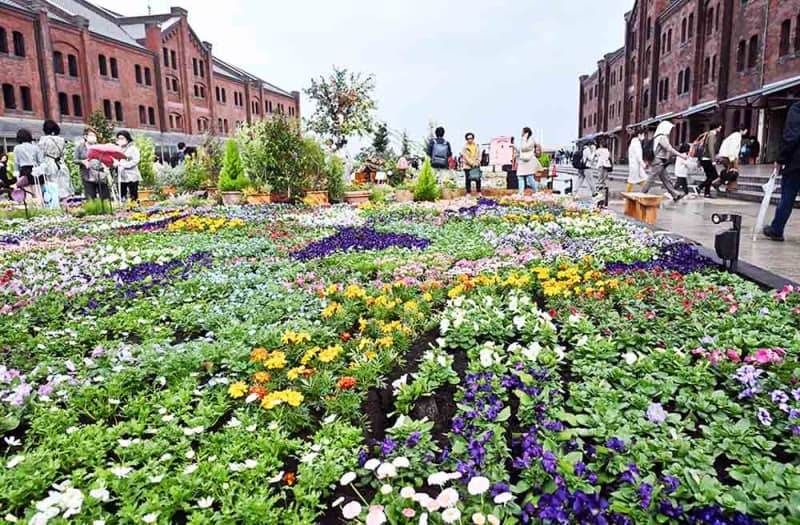 2万株の花園に没入体験を　横浜赤レンガ倉庫で「FLOWER　GARDEN　2024」