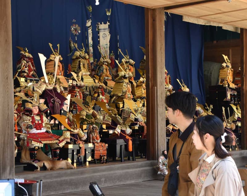 子どもたちの健やかな成長願って　迫力の五月人形とこいのぼり一堂　三浦の海南神社で10日まで展示