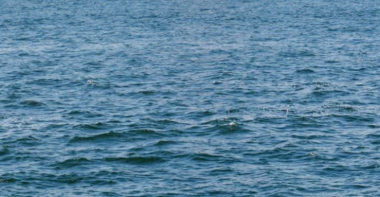 平塚・袖ケ浜海岸付近の波打ち際に男性の遺体　海保が身元調査中