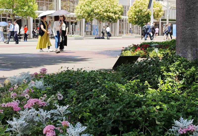 神奈川県内、全5地点で真夏日　小田原34.1度、横浜・中区33.4度