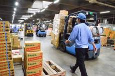 卸売市場で「食」の大切さを学ぼう　川崎市北部市場で8月に食育講座　冷凍庫の見学、青果物の調査…