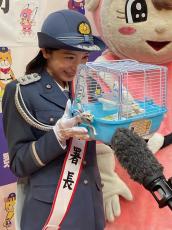 俳優の入来茉里さん一日署長　テレビ出演のあるインコ「ぴっちゃん」と事故防止啓発