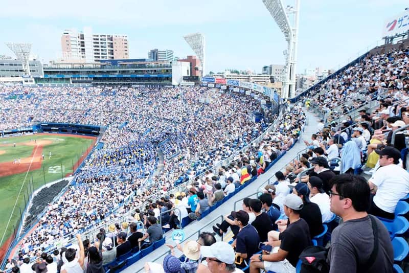 【高校野球神奈川大会】「東海大相模－横浜」熱狂はウイング席まで　平日昼のハマスタに2万8千人