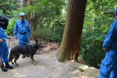 捜索のエース大活躍、30分足らずで山中の不明女性発見　神奈川の警察犬「ジゲン」20回目の表彰