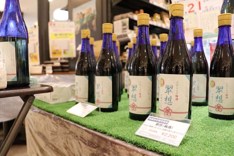 女子大育ちの梅で造りました　地元酒蔵と連携し10年、梅酒が即日完売　「飲みやすい」と好評