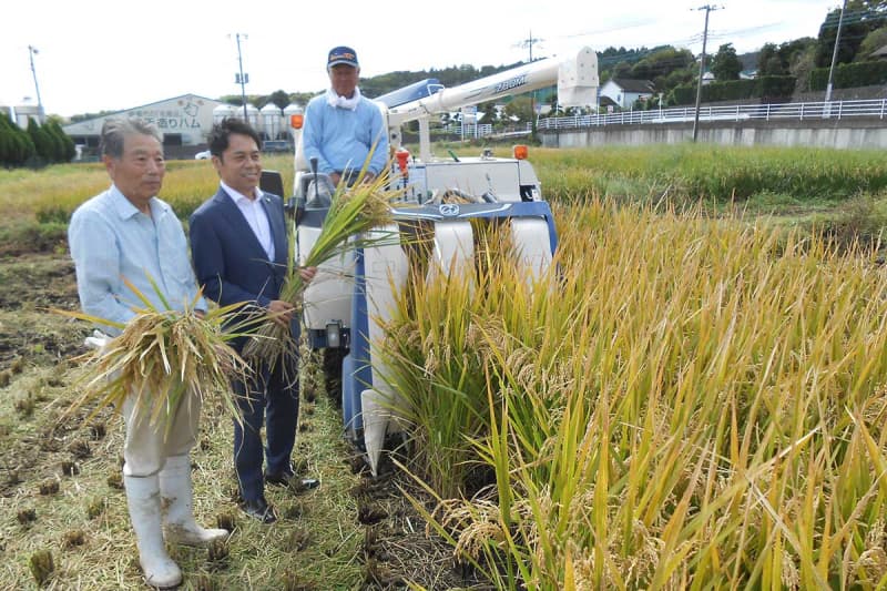 綾瀬で飼料用米収穫　3年目、作付面積3倍に拡大　輸入飼料価格高騰で耕作放棄地使い生産