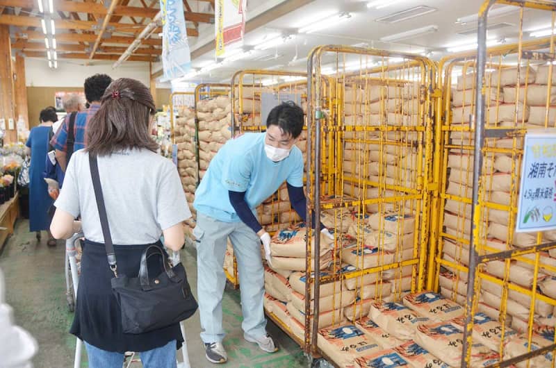 平塚生まれ「はるみ」の新米販売始まる　「在庫あるか」「価格は」…開店前に130人が列