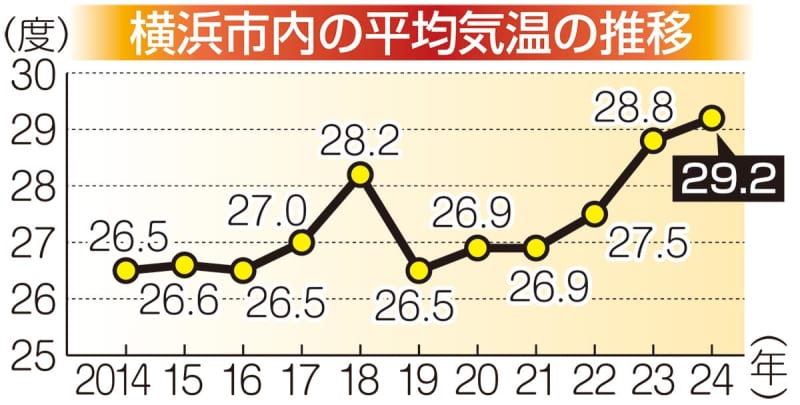 横浜の猛暑日33日、平均気温29.2度　7、8月は記録的な酷暑に