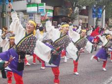 横浜でよさこい祭り、2500人が迫力演舞　馬車道通りを練り歩く