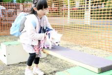 横浜で愛犬と災害時の避難を体験　6年ぶり山下公園で動物愛護フェスタ