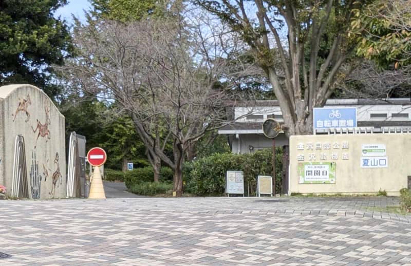 横浜の動物園でコアラ舎の観覧通路からアスベスト　市「健康上問題ない」