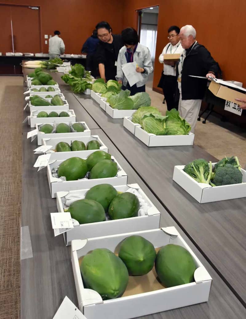 野菜に花に…秦野自慢の農産物が勢ぞろい　JAが品評会、17日には即売