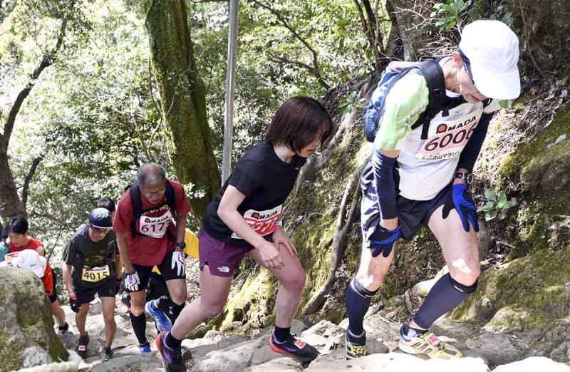 節目の40回、大山登山マラソン参加者募集　ゲストは福士加代子さんら