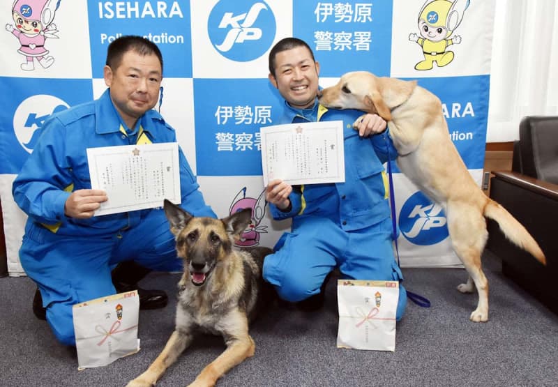 行方不明の男性探せ…神奈川県警の警察犬がお手柄、30分で発見　大喜びしたご褒美は