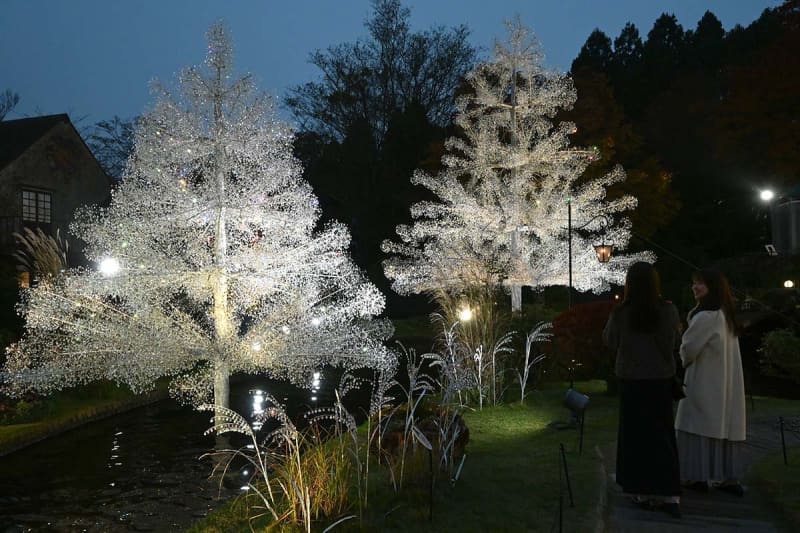 昼も夜も幻想的にきらめいて　箱根ガラスの森美術館に「カップル」ツリー