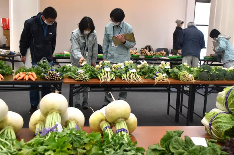 ブロッコリーやレモン、大根…神奈川・葉山育ちの野菜とフルーツ、10日に即売会