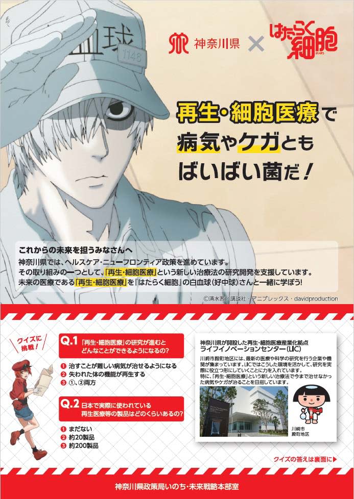 「はたらく細胞」×再生医療　神奈川県のサイトやチラシにキャラ登場　施策をPR