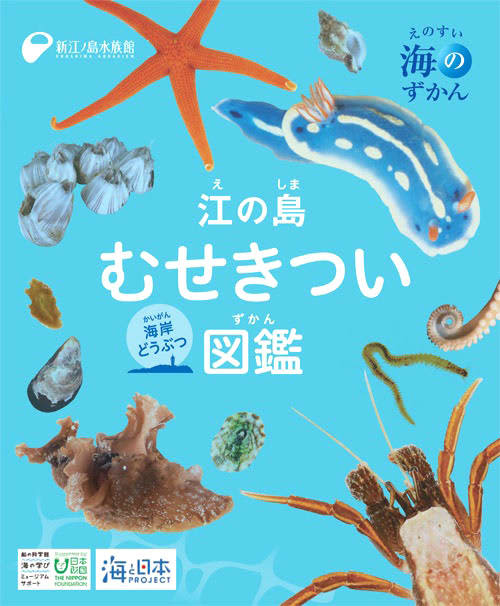 新江ノ島水族館が初の図鑑発売へ　253種掲載、無脊椎動物楽しく学べる