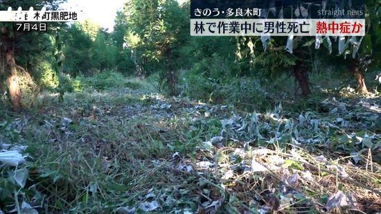 【熱中症の疑い】植樹林で草刈りしていた70代男性が倒れ死亡 熊本･多良木町