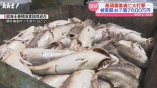 【被害拡大】八代海の赤潮で26万6千匹の養殖魚が死ぬ 木村知事が現地視察